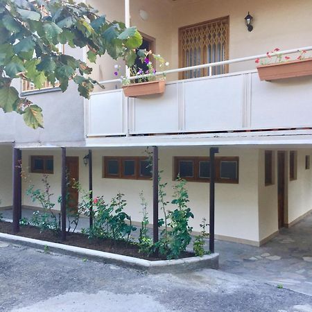 Guest House Kartuli Suli Telawi Zewnętrze zdjęcie