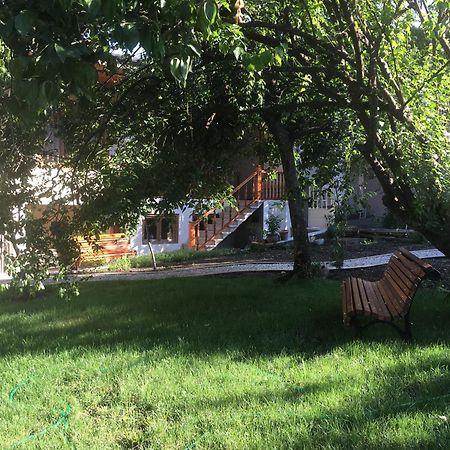 Guest House Kartuli Suli Telawi Zewnętrze zdjęcie