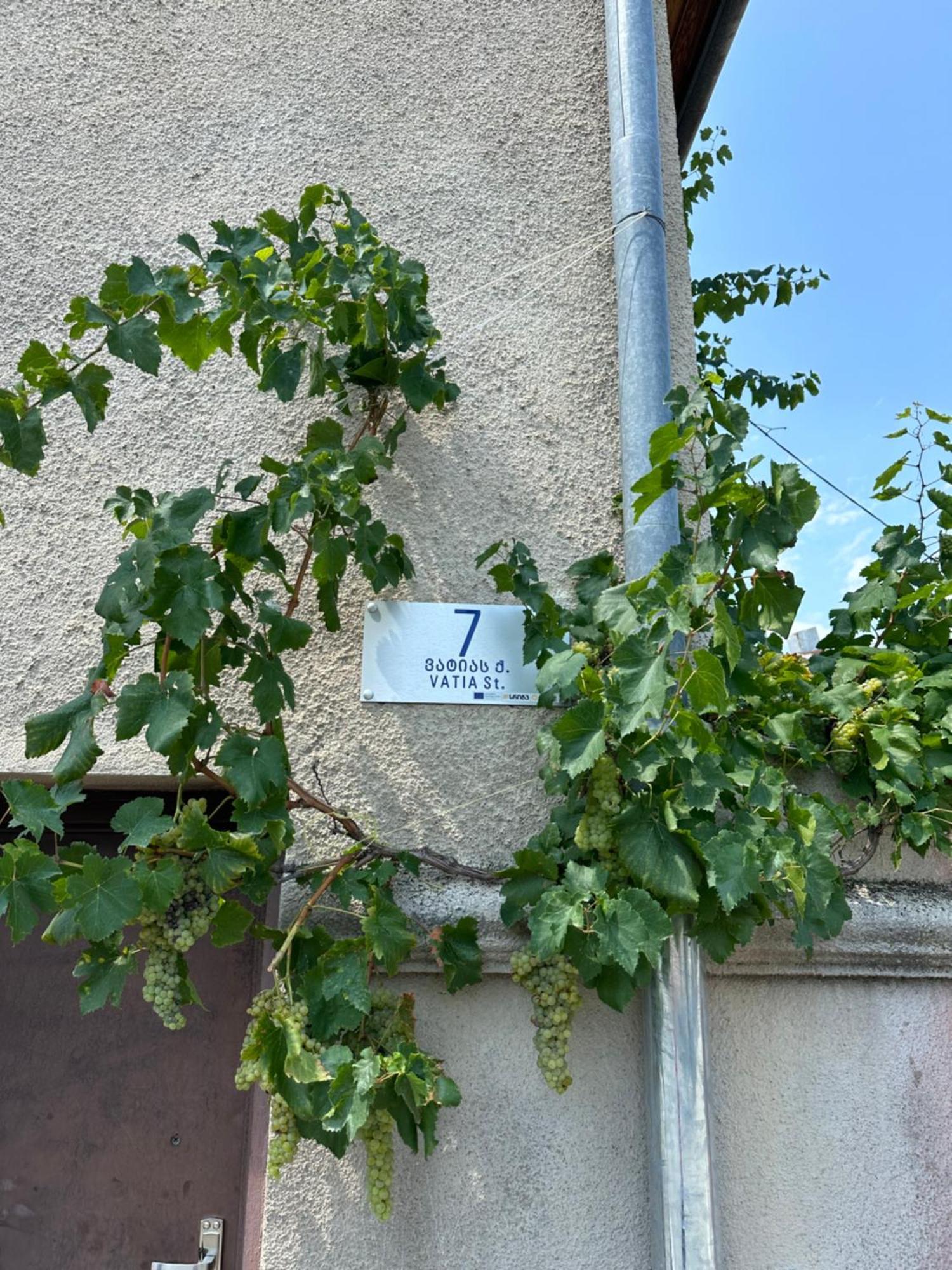 Guest House Kartuli Suli Telawi Zewnętrze zdjęcie