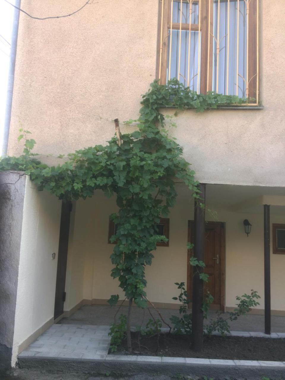 Guest House Kartuli Suli Telawi Zewnętrze zdjęcie